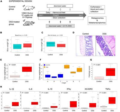 Metagenomics Versus Metatranscriptomics of the Murine Gut Microbiome for Assessing Microbial Metabolism During Inflammation